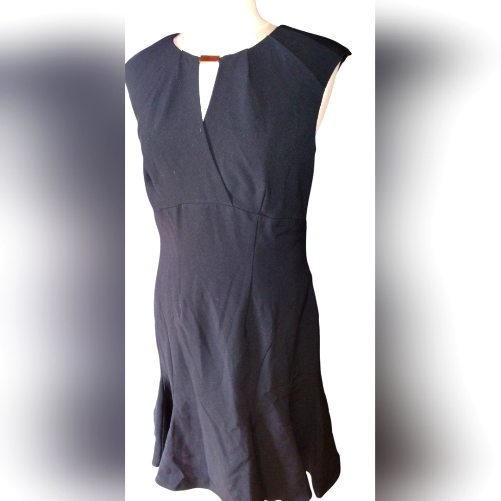 Ann Taylor NWT Elegant Black Dress Pleated Cap Sleeves, Tulip Hen, V Neck